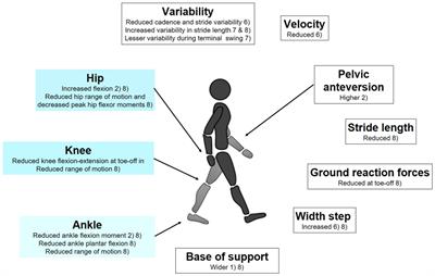 Frontiers | Could Gait Biomechanics Become a Marker of Atypical